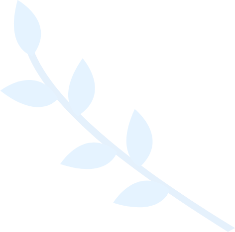 手机号轰在线网页版入口